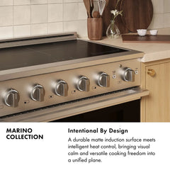 ZLINE 24 In. Marino Autograph Induction Range in Stainless Steel with Champagne Bronze Accents - MINRZ-24-CB