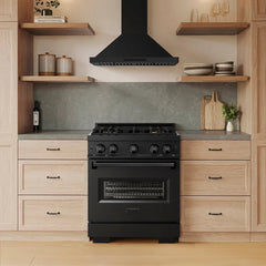 ZLINE 30 in. 4.2 cu. ft. Classic Dual Fuel Range with 4 Burner DuoPro™ Cooktop and Electric Convection Oven in Black Stainless Steel - PCDRB-30
