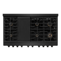 ZLINE 48 in. 6.7 cu. ft. Paramount Double Oven Dual Fuel Range in Black Stainless Steel with 8 Brass Burners - SDRB-BR-48