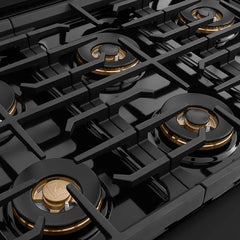 ZLINE 48 in. 6.7 cu. ft. Paramount Gas Range with 8 Burner DuoPro™ Cooktop and Dual Ovens in Black Stainless Steel - PSGRB-48