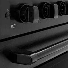 ZLINE 30 in. 4.2 cu. ft. Paramount Induction Range with 4 Element Cooktop and Electric Convection Oven in Black Stainless Steel - SINRB-30