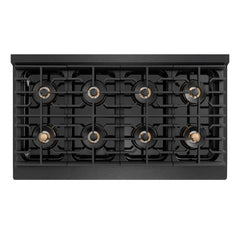 ZLINE 48 in. Paramount Gas Rangetop with 8 Burner DuoPro™ Cooktop in Black Satin Stainless Steel - PSRTBS-48
