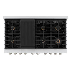 ZLINE 48 in. 6.7 cu. ft. Paramount Double Oven Dual Fuel Range in Stainless Steel with 8 Brass Burners - SDR-BR-48