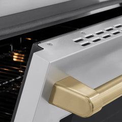 ZLINE Autograph Edition 24 in. 3.2 cu. ft. Paramount Induction Range with 3 Element Cooktop and Electric Convection Oven - SINR
