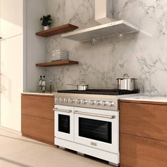 ZLINE 48 in. 6.7 cu. ft. Paramount Double Oven Dual Fuel Range with 8 Burner Gas Cooktop in Stainless Steel with White Matte Doors - SDR-WM-48
