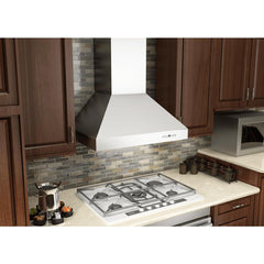 ZLINE Professional Convertible Vent Wall Mount Range Hood in Stainless Steel - 697 - The Home Selection