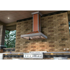 ZLINE Designer Series Wall Mount Range Hood - 655-CSSSS