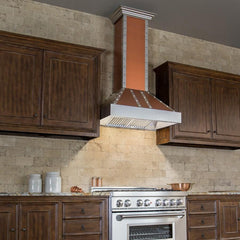 ZLINE Designer Series Wall Mount Range Hood - 655-CSSSS