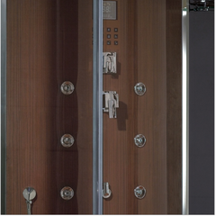 Platinum DZ956F8 Steam Shower-Brown - DZ956