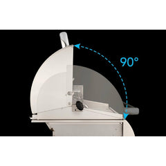 Fire Magic Grills Aurora 32 Inch Built-In Grill with Analog Thermometer and Rotisserie Back Burner - A540I-8A