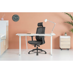 LANBO ERGONOMIC OFFICE CHAIR - LBZM8001BK