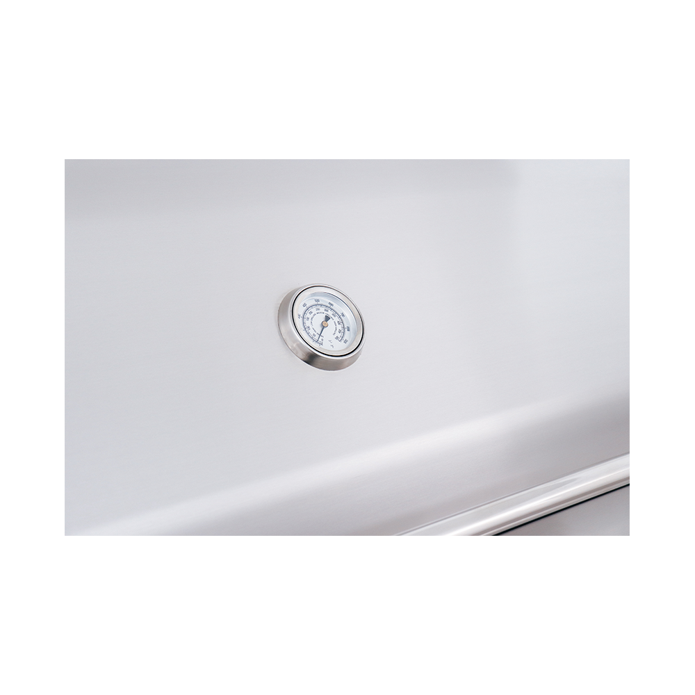 ARG 42" Built-In Grill - Propane Gas - ARG42 LP