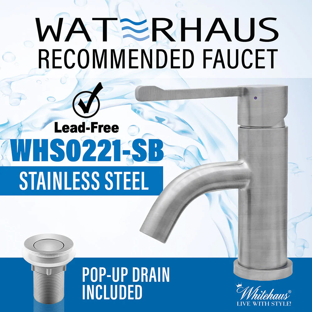 WHITEHAUS Waterhaus Solid Stainless Steel, Single Hole, Extended Single Lever Lavatory Faucet - WHS0221-SB