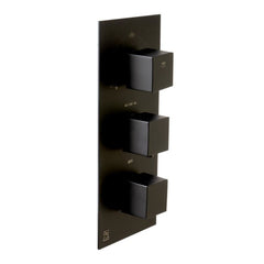 ALFI 3-Way Thermostatic Valve Shower Mixer Square Knobs - AB2801 - The Home Selection
