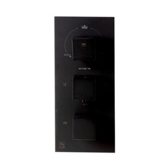 ALFI 3-Way Thermostatic Valve Shower Mixer Square Knobs - AB2801 - The Home Selection