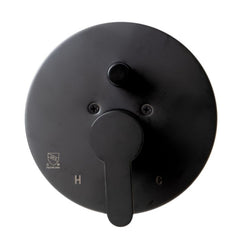 ALFI Single Lever Bath Shower Valve Diverter Polished/Brushed - AB3101 - The Home Selection