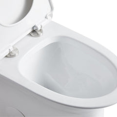 Altair Ibiza 1.6/1.1 GPF Dual Flush Elongated One-Piece Toilet in White - T328 - The Home Selection