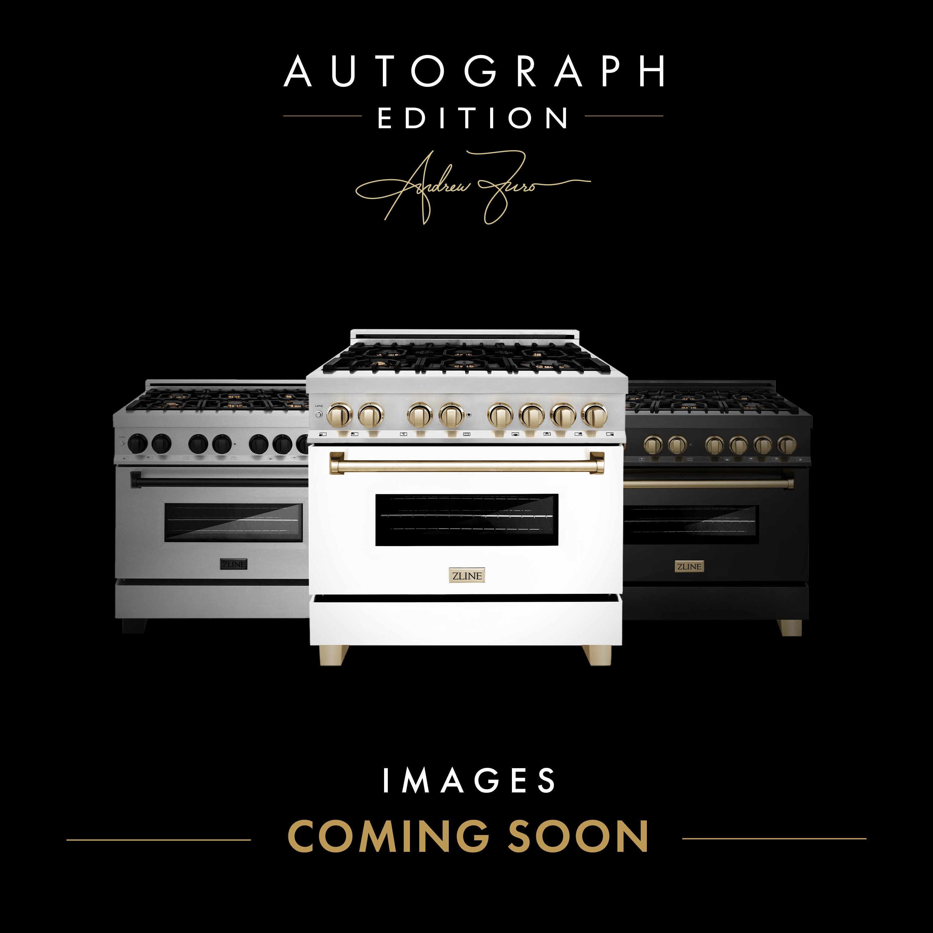 ZLINE Autograph Edition 48 6.0 Cu. ft. Dual Fuel Range in Stainless Steel with Gold Accents