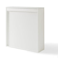 Crosley Tara Mirrored Wall Cabinet - CF7010 - The Home Selection