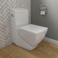 EAGO Modern One Piece High Efficiency Low Flush Eco Friendly Toilet - TB336 - The Home Selection