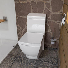 EAGO Modern One Piece High Efficiency Low Flush Eco Friendly Toilet - TB336 - The Home Selection