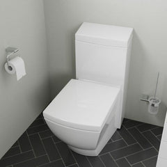 EAGO Modern One Piece High Efficiency Low Flush Eco Friendly Toilet - TB336 - The Home Selection