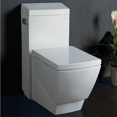 EAGO Modern One Piece High Efficiency Low Flush Eco Friendly Toilet - TB336 - The Home Selection