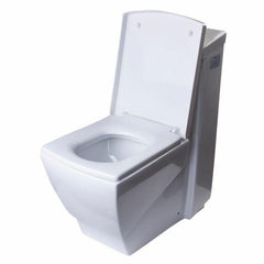 EAGO Modern One Piece High Efficiency Low Flush Eco Friendly Toilet - TB336 - The Home Selection