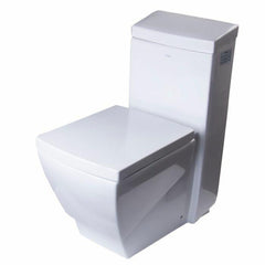 EAGO Modern One Piece High Efficiency Low Flush Eco Friendly Toilet - TB336 - The Home Selection