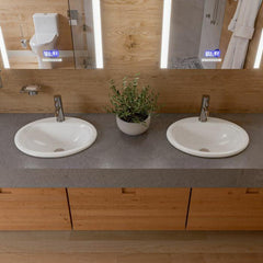 EAGO One Piece Dual High Efficiency Low Flush Eco-Friendly Toilet - TB353 - The Home Selection