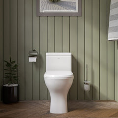 EAGO One Piece Dual High Efficiency Low Flush Eco-Friendly Toilet - TB353 - The Home Selection