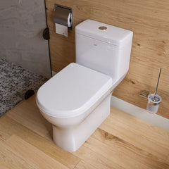 EAGO One Piece Dual High Efficiency Low Flush Eco-Friendly Toilet - TB353 - The Home Selection