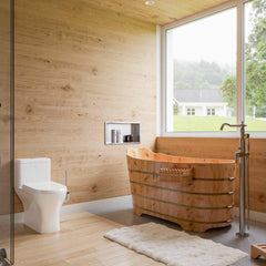 EAGO One Piece Dual High Efficiency Low Flush Eco-Friendly Toilet - TB353 - The Home Selection