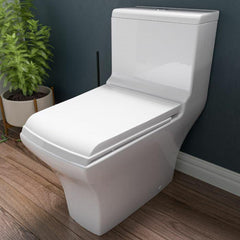 EAGO White Dual Flush High Efficiency Low Flush Eco-Friendly Toilet - TB356 - The Home Selection