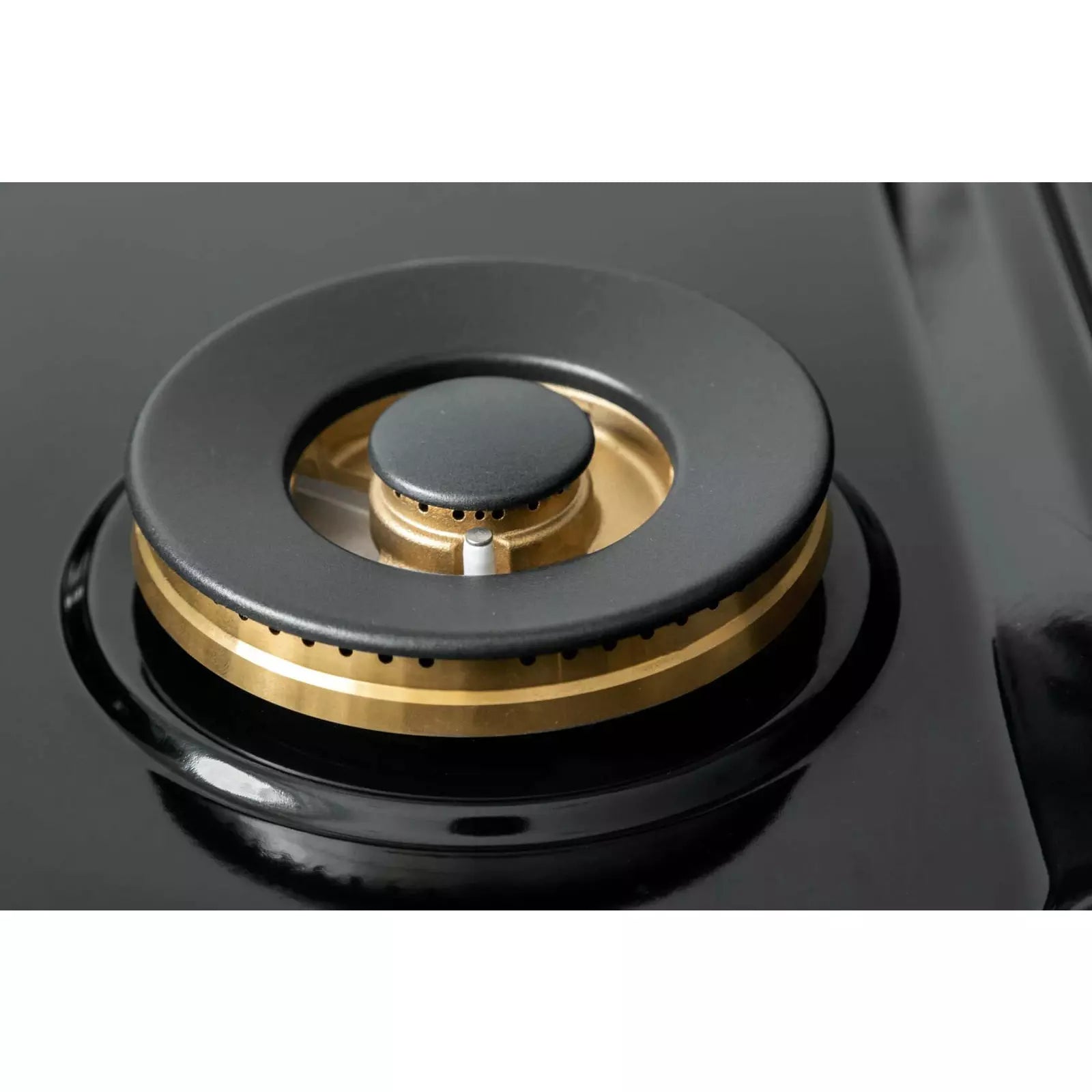 Forte 48" Freestanding All Gas Range - 8 Sealed Italian Made Burners, 5.53 cu. ft. Oven & Griddle - in Stainless Steel With Blue Door And Brass Knob (FGR488BBL4)