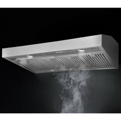 Forza 48 INCH PROFESSIONAL WALL MOUNTED RANGE HOOD, 24 INCHES TALL -  FH4824