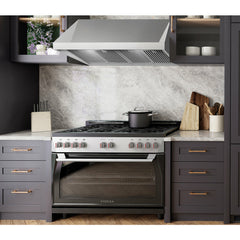 Forza 48” Professional Wall Mounted Range Hood – 24 Inches Tall- FH4824 - The Home Selection