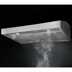 Forza 48” Professional Wall Mounted Range Hood – 24 Inches Tall- FH4824 - The Home Selection