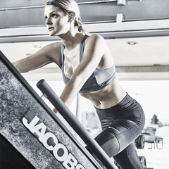 Jacobs Ladder Stair Climber - The Home Selection