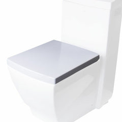 EAGO Replacement Soft Closing Toilet Seat for TB336 - R-336SEAT