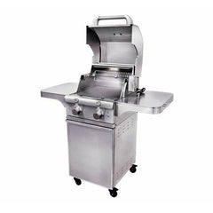 Saber Elite Series 2-Burner Gas Grill - R33SC0717 - The Home Selection