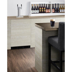 Summit 24" Wide Built-In Kegerator, ADA Compliant (Panel Not Included) - SBC58BLBIADAIF - The Home Selection