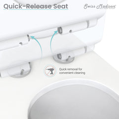 Swiss Madison Carré One-Piece Square Toilet Dual-Flush 1.1/1.6 gpf - SM-1T256 - The Home Selection