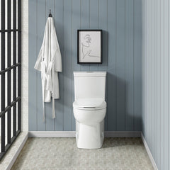 Swiss Madison Classé One-Piece Elongated Toilet Dual-Flush 1.1/1.6 gpf - SM-1T117 - The Home Selection