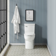 Swiss Madison Classé One-Piece Toilet with Front Flush Handle 1.28 gpf - SM-1T116 - The Home Selection