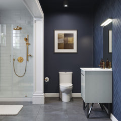 Swiss Madison Sublime One-Piece Elongated Toilet Dual-Flush 1.1/1.6 gpf - SM-1T205 - The Home Selection