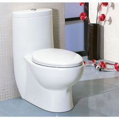 EAGO One Piece Dual Flush High Efficiency Low Flush White Toilet -TB309