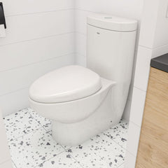 EAGO One Piece Dual Flush High Efficiency Low Flush White Toilet -TB309