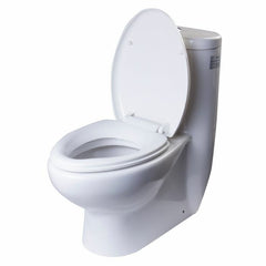 EAGO One Piece Dual Flush High Efficiency Low Flush White Toilet -TB309