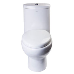 EAGO One Piece Dual Flush High Efficiency Low Flush White Toilet -TB309